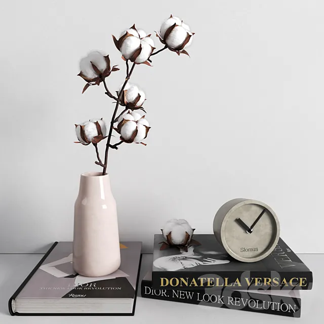 Decorative set cotton branch 3ds Max