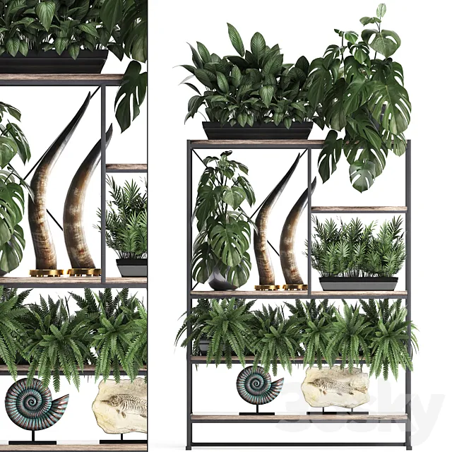 Decorative set modern wooden shelf with flowers in pots with monstera fern tusk ammonite statuette. 10 3ds Max
