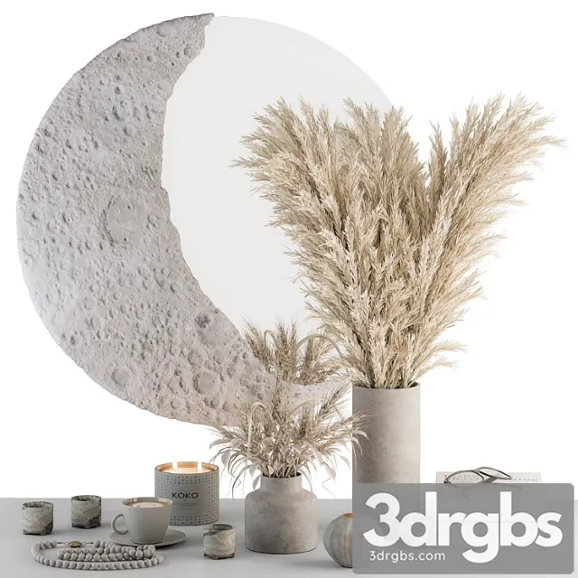 Decorative set moon mirror with dried plant – set 100