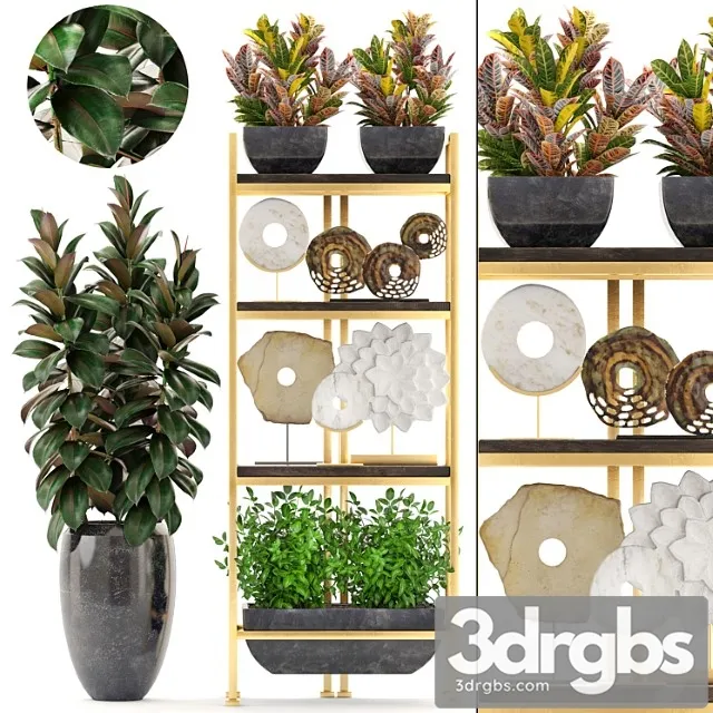 Decorative Set of 5 Shelf Decor Discs Figurine Ficus Pot Croton Shelf With Flowers Luxury 3dsmax Download