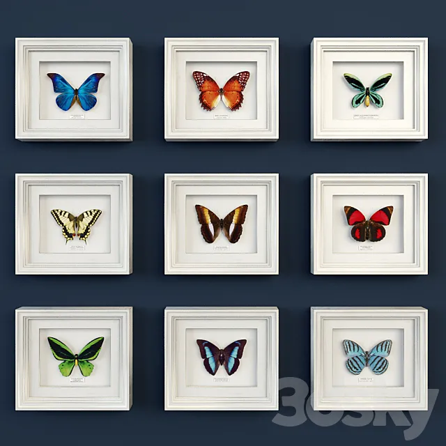Decorative set of butterflies 3DSMax File