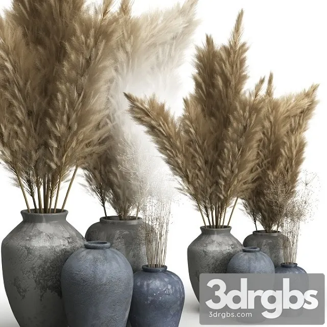 Decorative Set of Clay Vases and Pampas Grass 3dsmax Download