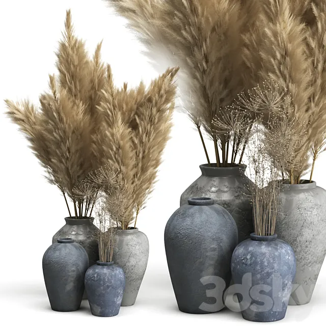 Decorative set of Clay Vases and Pampas Grass 3DS Max Model