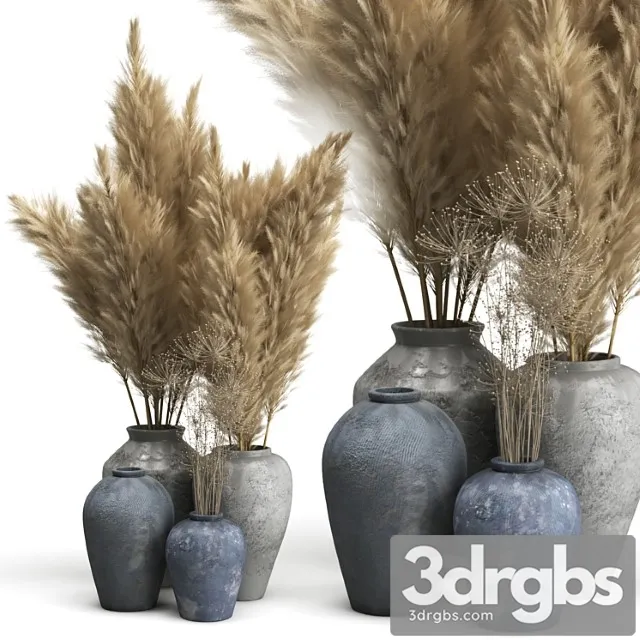 Decorative set of clay vases and pampas grass