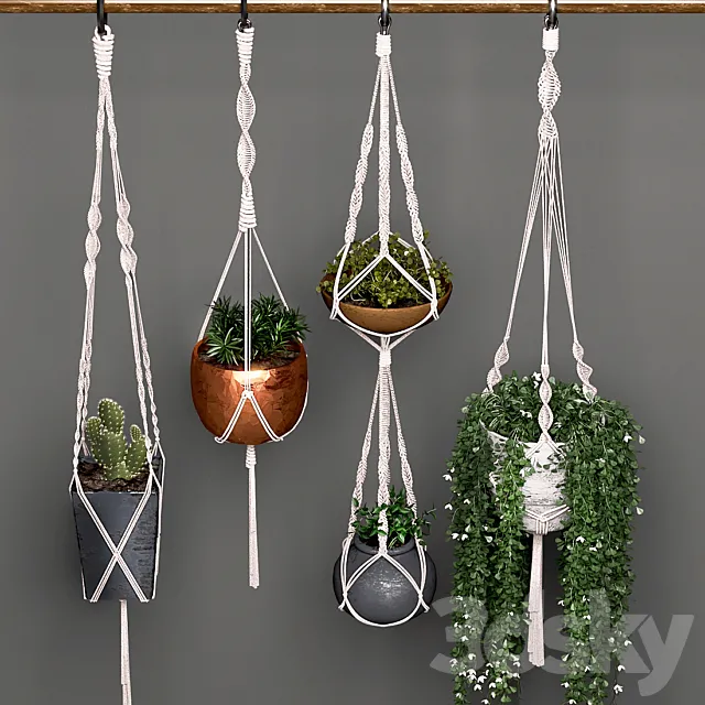 Decorative set of hanging pots 3DS Max Model