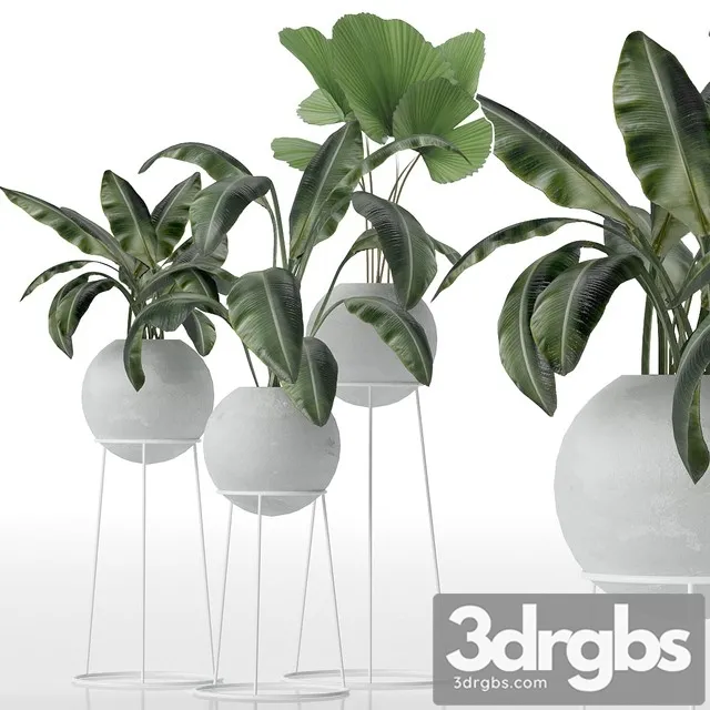 Decorative Set of Plants 3dsmax Download
