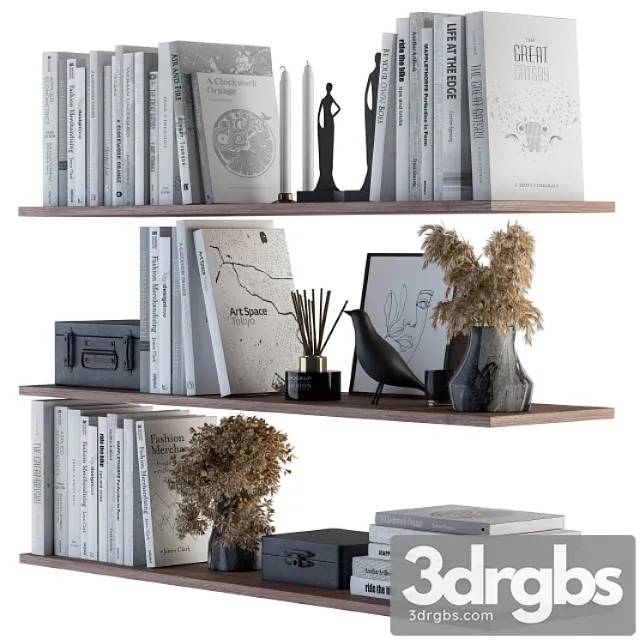Decorative set on shelves white book and dried plants 3dsmax Download
