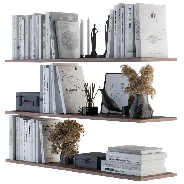 Decorative Set on Shelves White book and Dried Plants 3dsMax Model