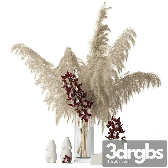 Decorative set Pampas grass and cymbidium 3dsmax Download