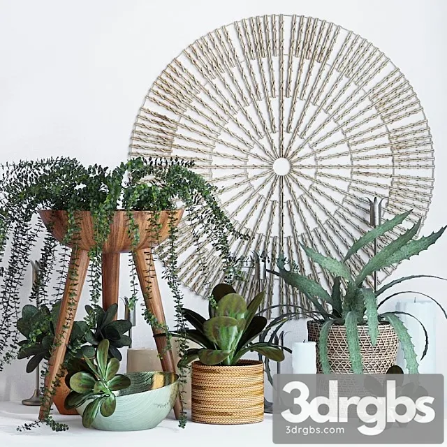 Decorative set Plant decor set – 1 3dsmax Download