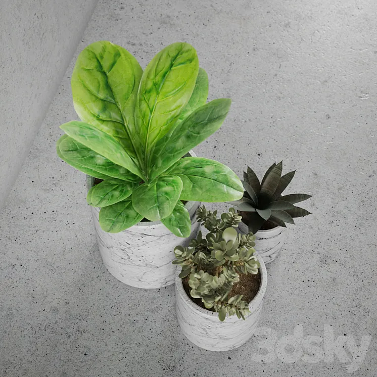 Decorative set \/ plants 3DS Max