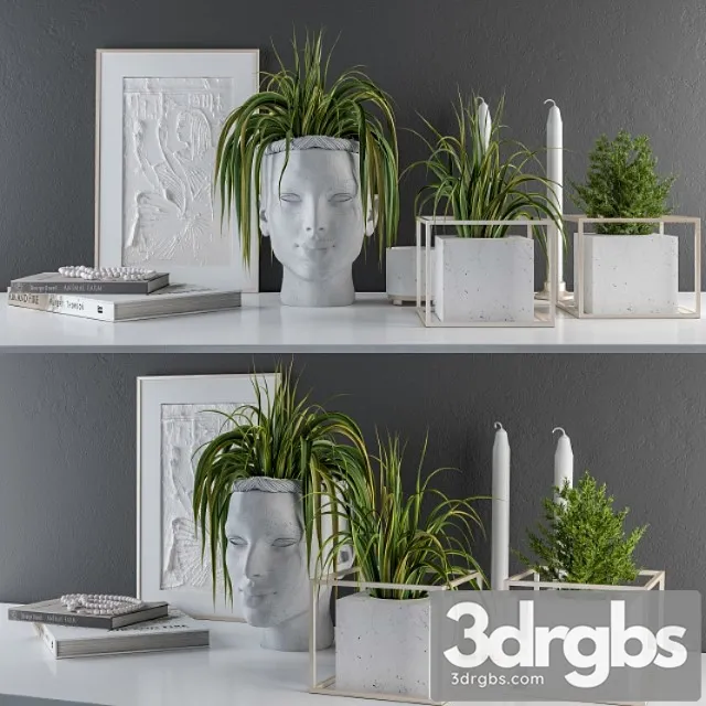 Decorative set sculpt pot and plants 3dsmax Download