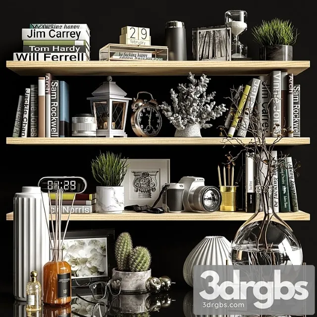 Decorative Set Shelves 2 3dsmax Download