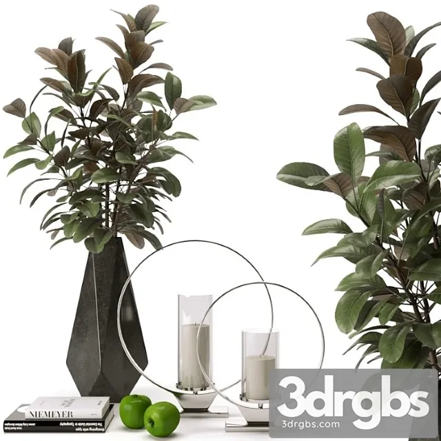 Decorative set with accessories from z gallerie