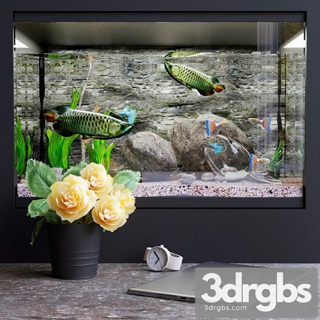 Decorative set with aquarium 3dsmax Download