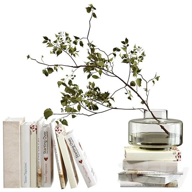 Decorative set with books 3DS Max Model