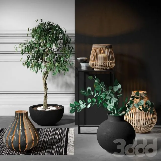 Decorative set with candles and plants 3dsMax Model