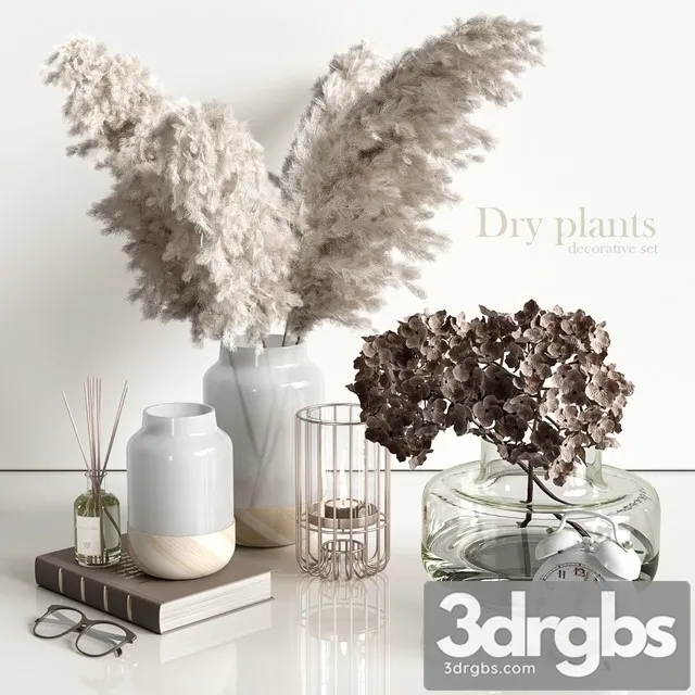 Decorative Set with Dry Plants 3dsmax Download