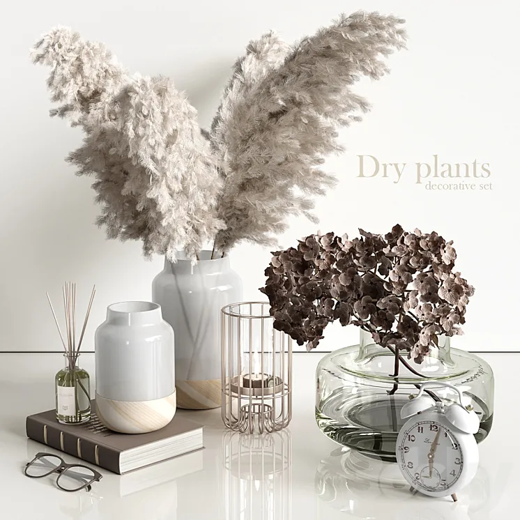 Decorative set with dry plants 4 3DS Max