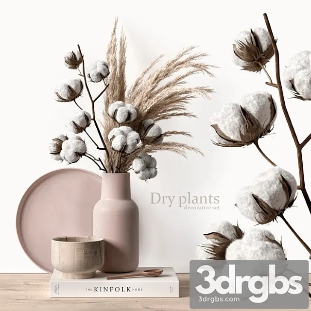 Decorative set with dry plants 5 3dsmax Download