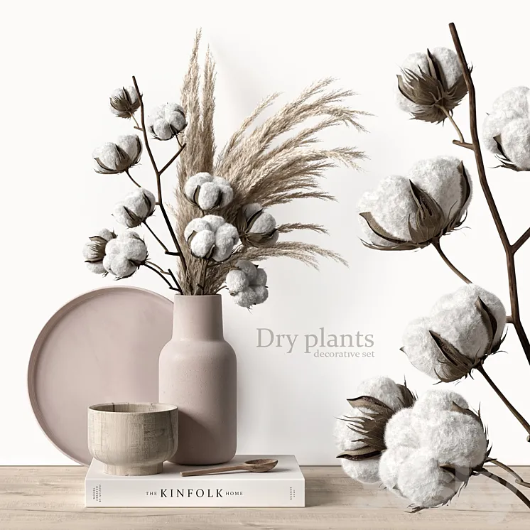 Decorative set with dry plants 5 3DS Max