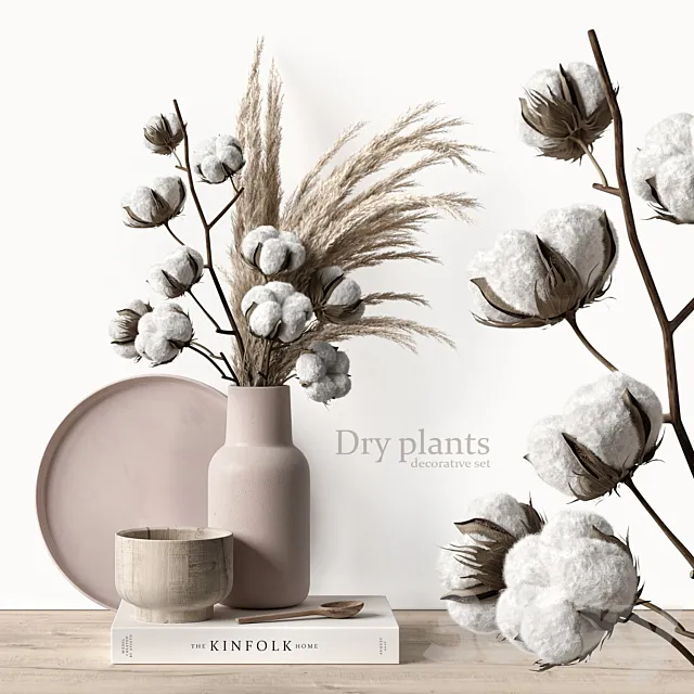 Decorative set with dry plants 5 3DSMax File