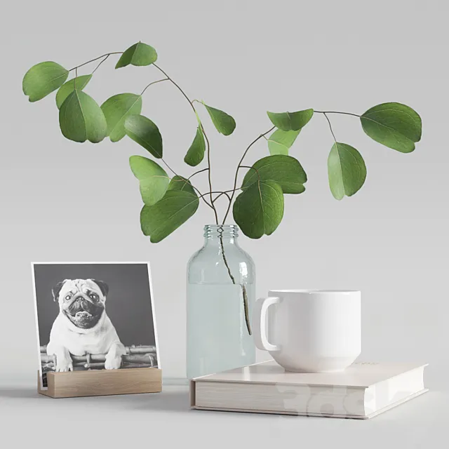 decorative set with eucalyptus branch 2 3DSMax File