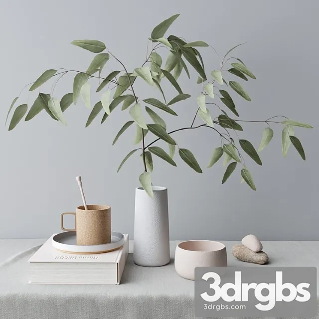 Decorative set with eucalyptus branch 3dsmax Download