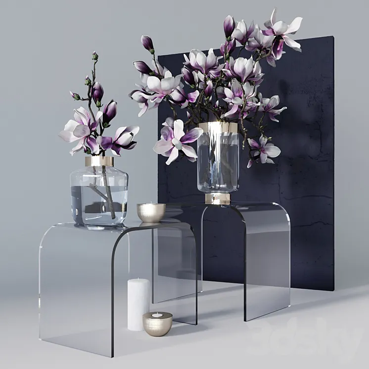 Decorative set with magnolia 3DS Max