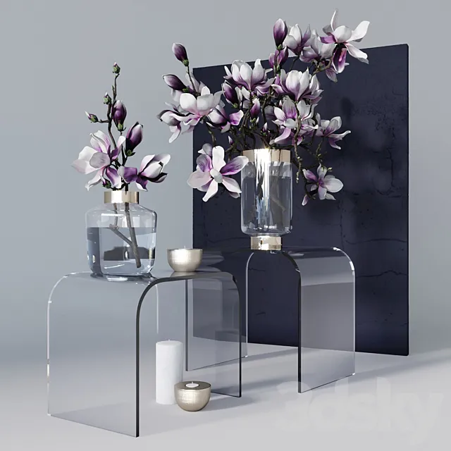 Decorative set with magnolia 3DSMax File