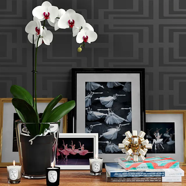 Decorative set with orchid and architect. magazines 3DSMax File