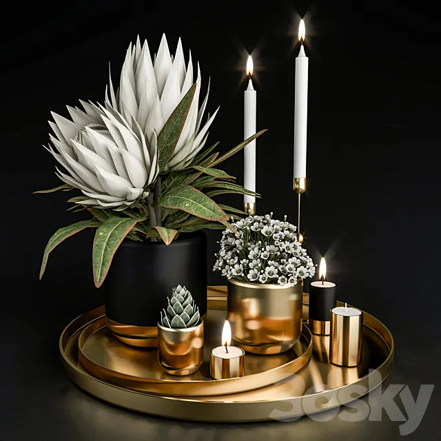 Decorative set with plants in pots. 3ds Max