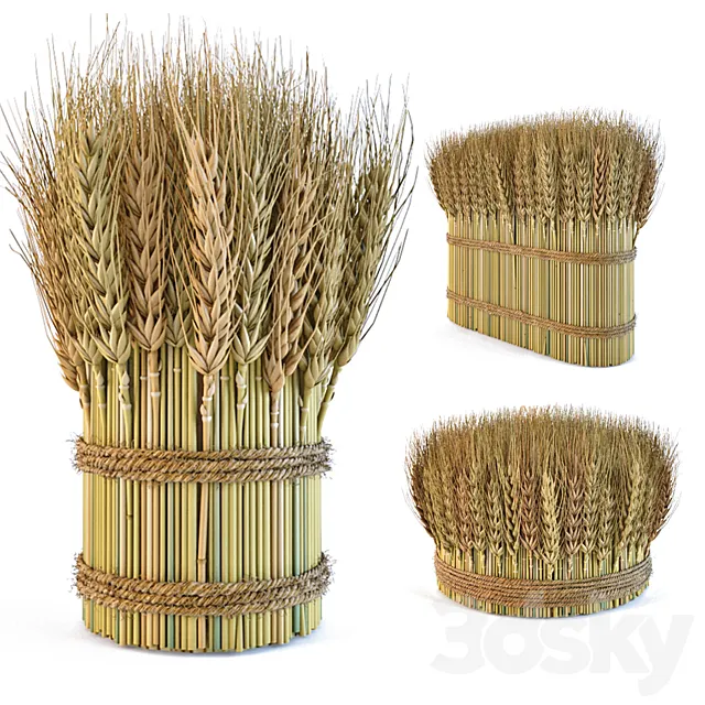 Decorative sheaves of wheat ears 2 3DS Max Model