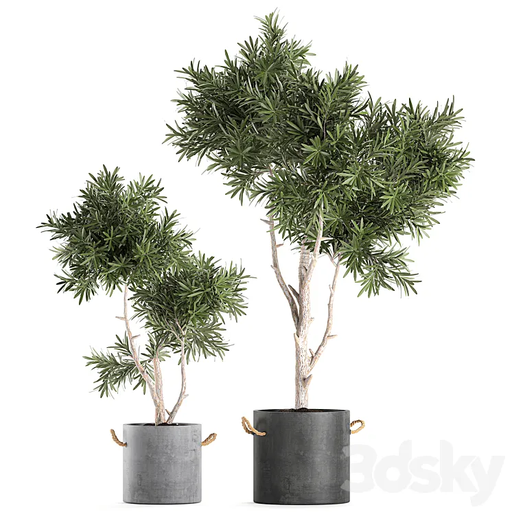 Decorative small tree in a black concrete pot topiary. Set 741. 3DS Max