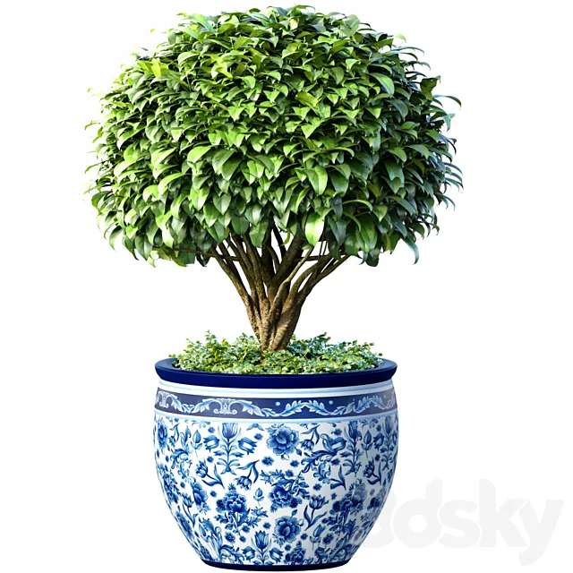 Decorative tree in an Italian vase. Indoor plant 3ds Max