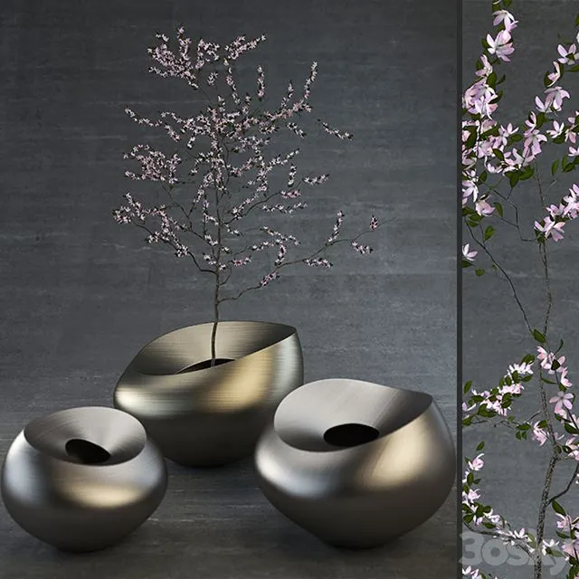 Decorative Vases 3dsMax Model