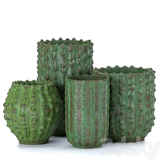 Decorative vases Cactus 3DS Max Model