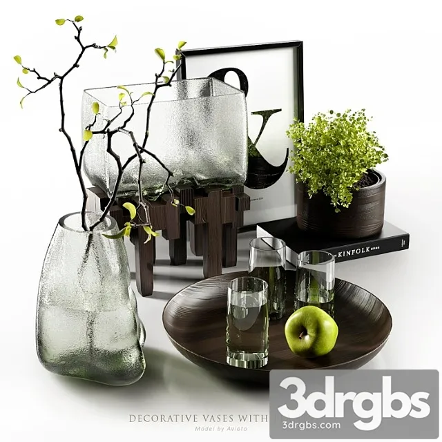 Decorative vases with plants