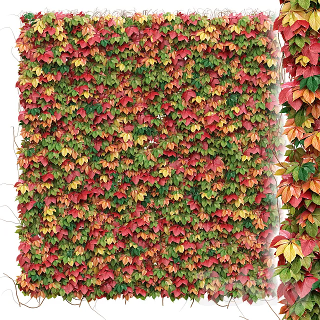 Decorative wall of autumn leaves of grapes 3DS Max Model