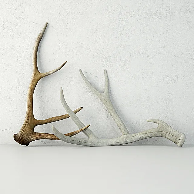 Deer Antlers 3ds Max