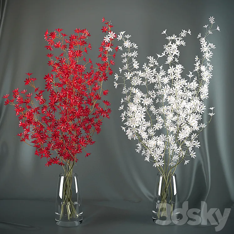 Dendrobium Orchid flowers (red \/ white) 3DS Max