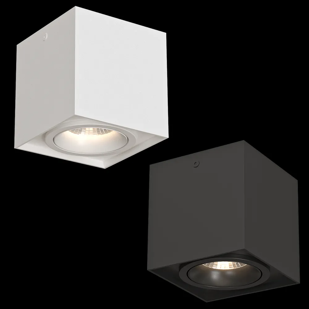 DENKIRS – Spot overhead lamp DK2003-BK 3ds Max