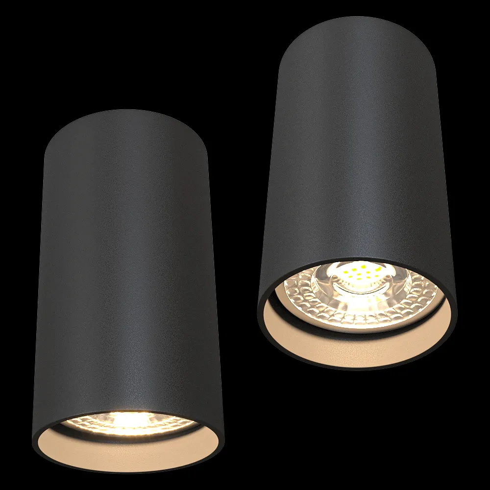 DENKIRS – Spot overhead lamp DK2008-BK 3ds Max