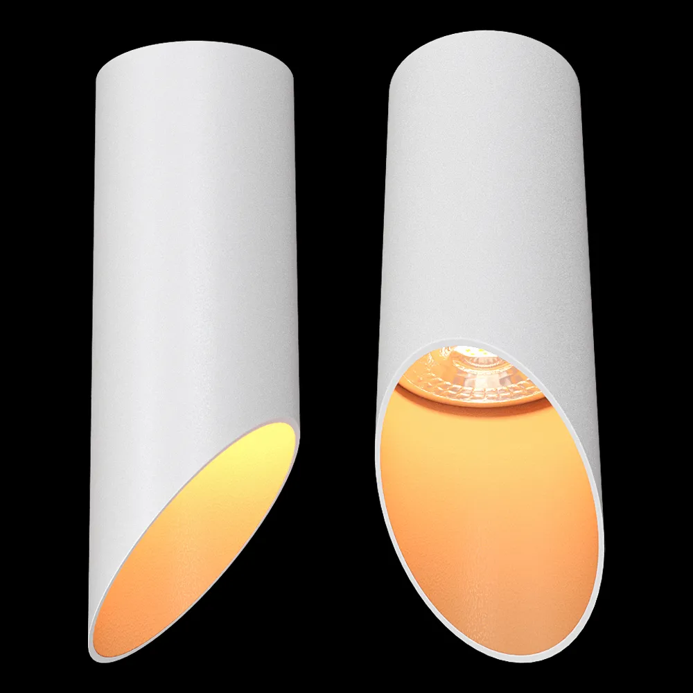 DENKIRS – Spot overhead lamp DK2011-WH 3ds Max