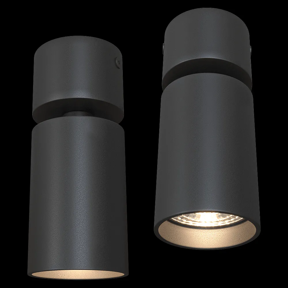 DENKIRS – Spot overhead lamp DK2029-BK 3ds Max