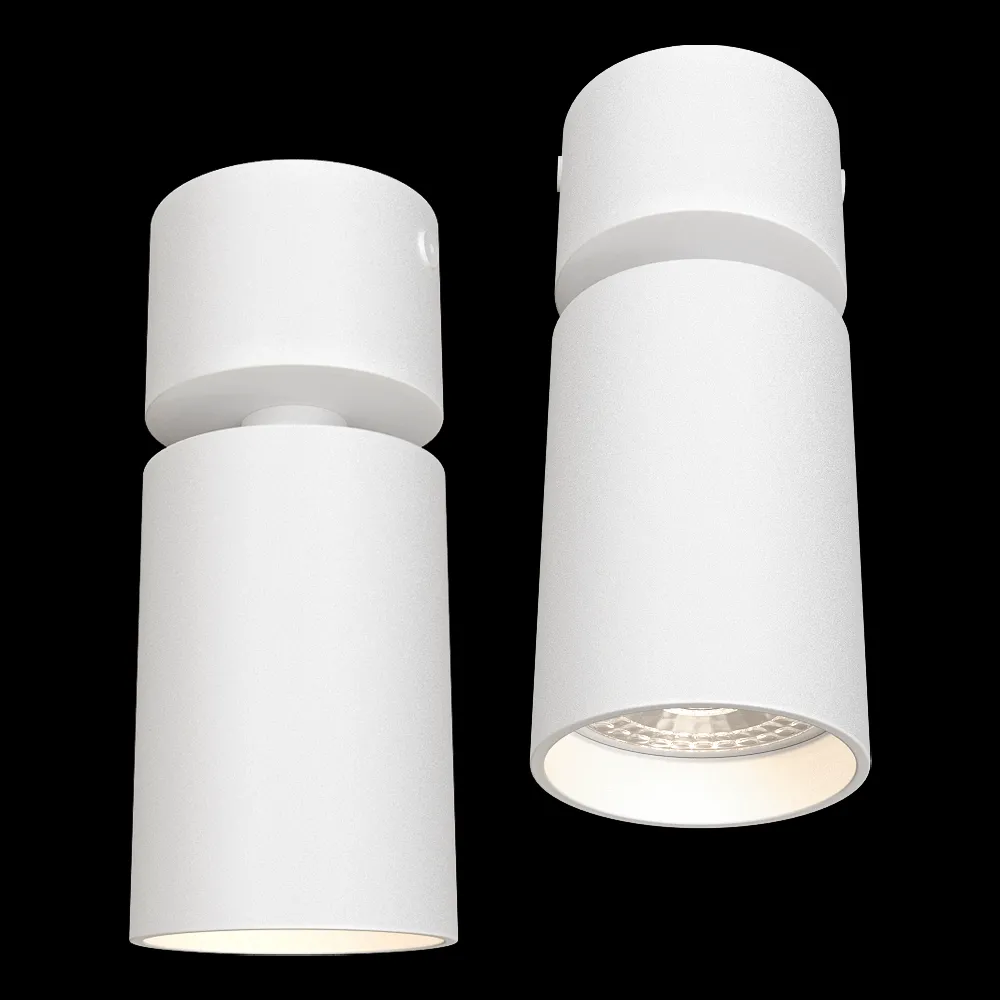 DENKIRS – Spot overhead lamp DK2029-WH 3ds Max