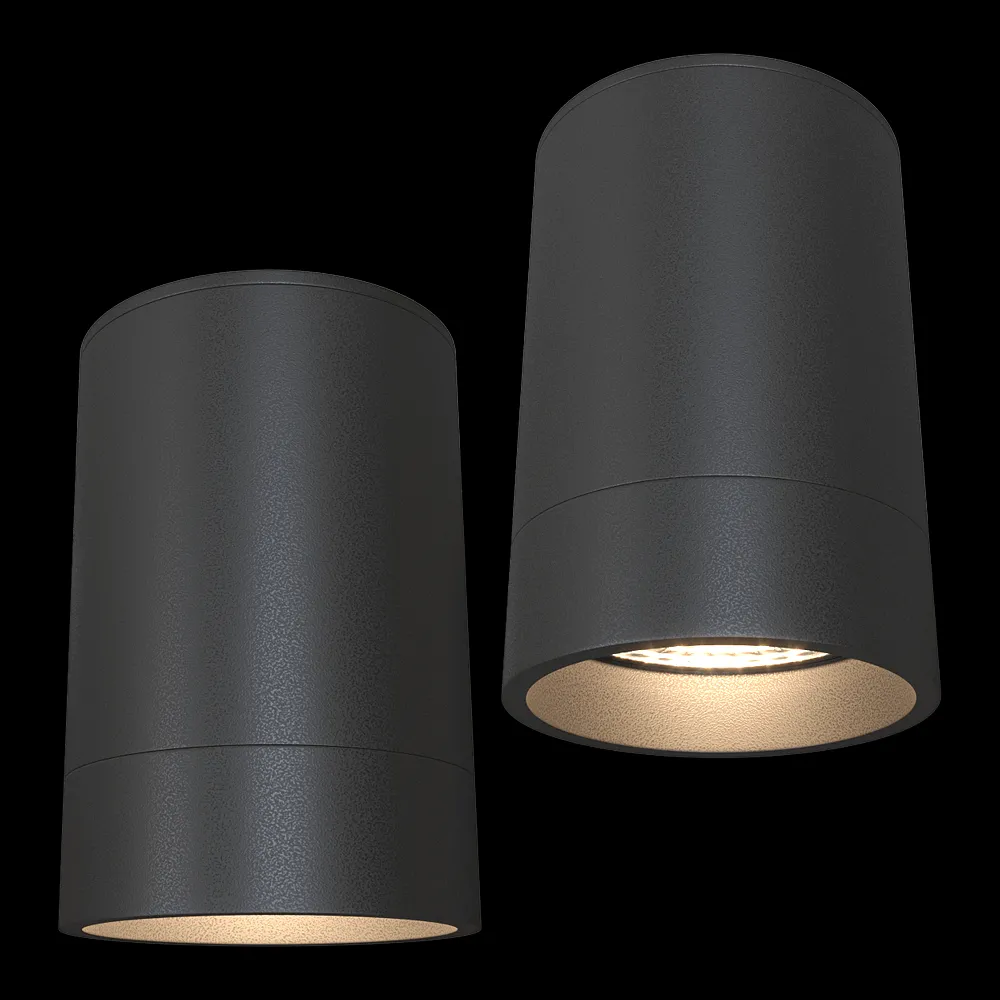 DENKIRS – Spot overhead lamp DK2050-BK 3ds Max