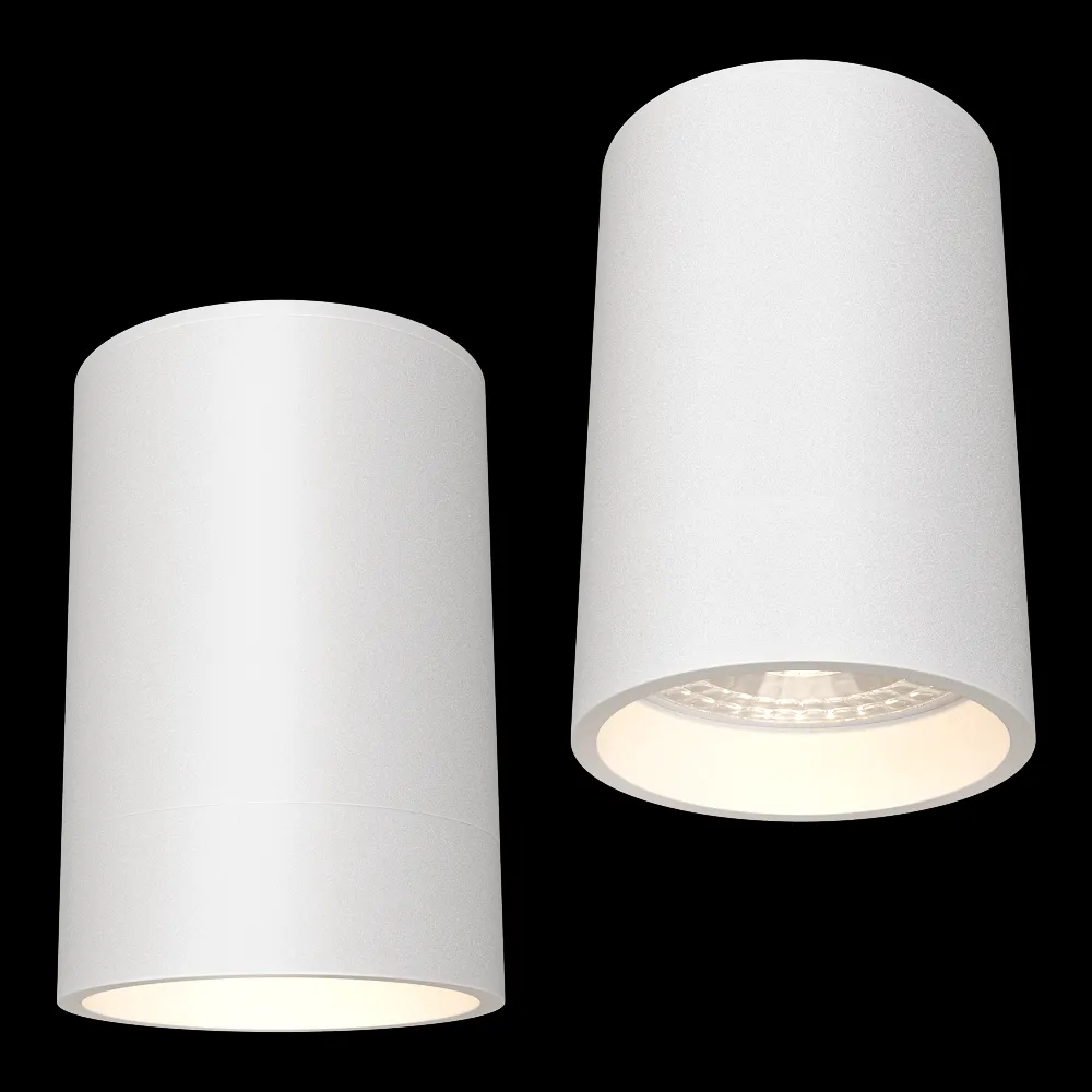 DENKIRS – Spot overhead lamp DK2050-WH 3ds Max