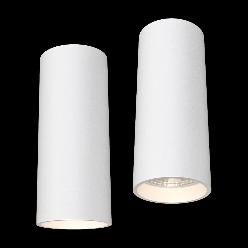 DENKIRS – Spot overhead lamp DK2051-WH 3ds Max