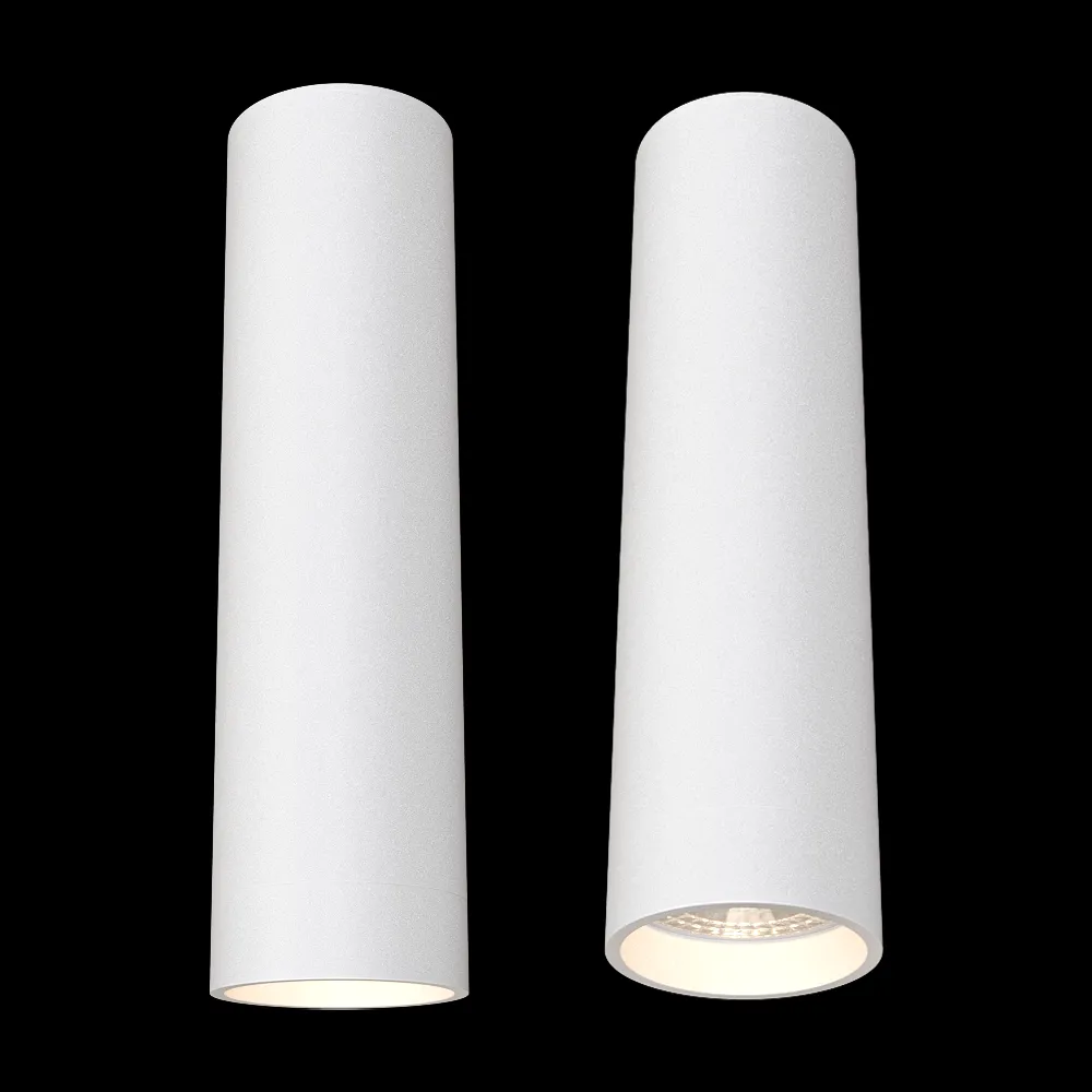 DENKIRS – Spot overhead lamp DK2052-WH 3ds Max